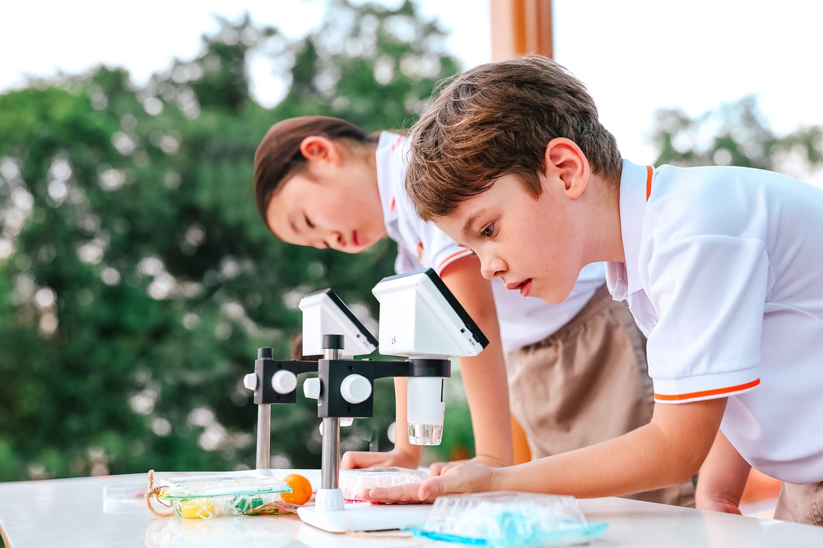 Nature-inspired learning where students connect their learning from indoors to outdoors.