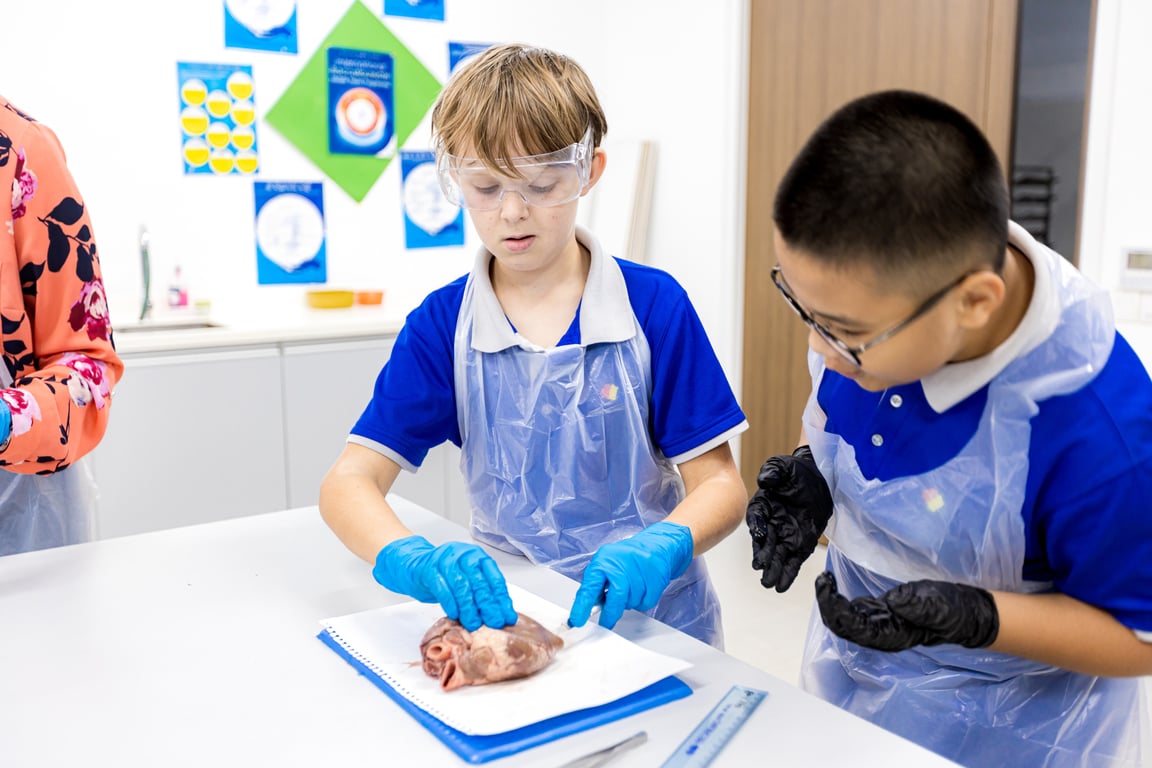 OFS students conducting a heart dissection during a science lesson.