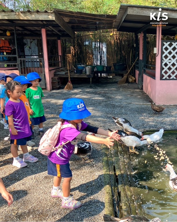 Young students feeding ducks on an outdoor learning experience.