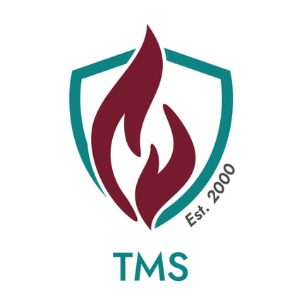 The Millennium School logo