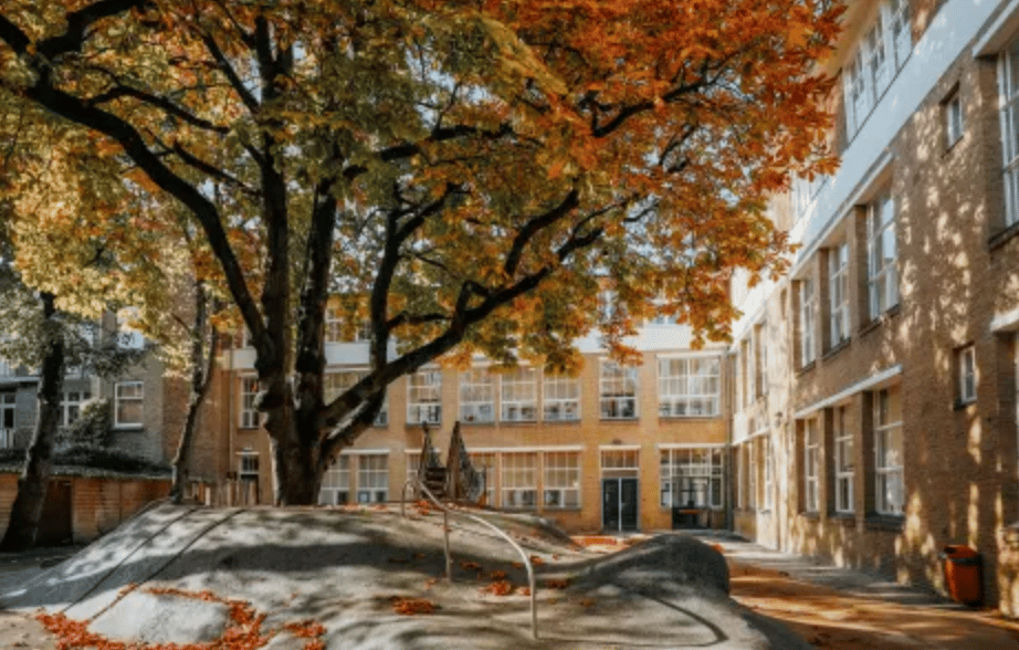 International French School Amsterdam - Middle and High School — international school in Amsterdam, Netherlands