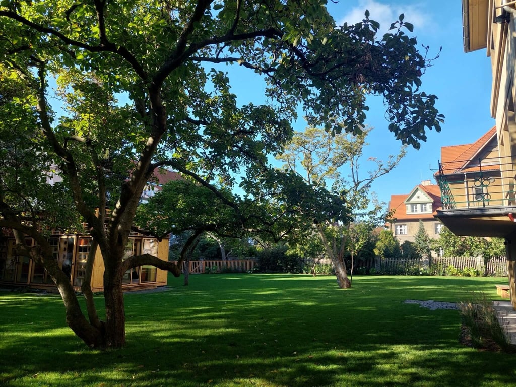 Beehive School — international school in Prague, Czech Republic