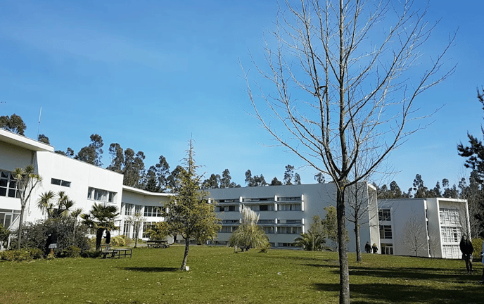 Saint John's School — international school in Concepcion, Chile