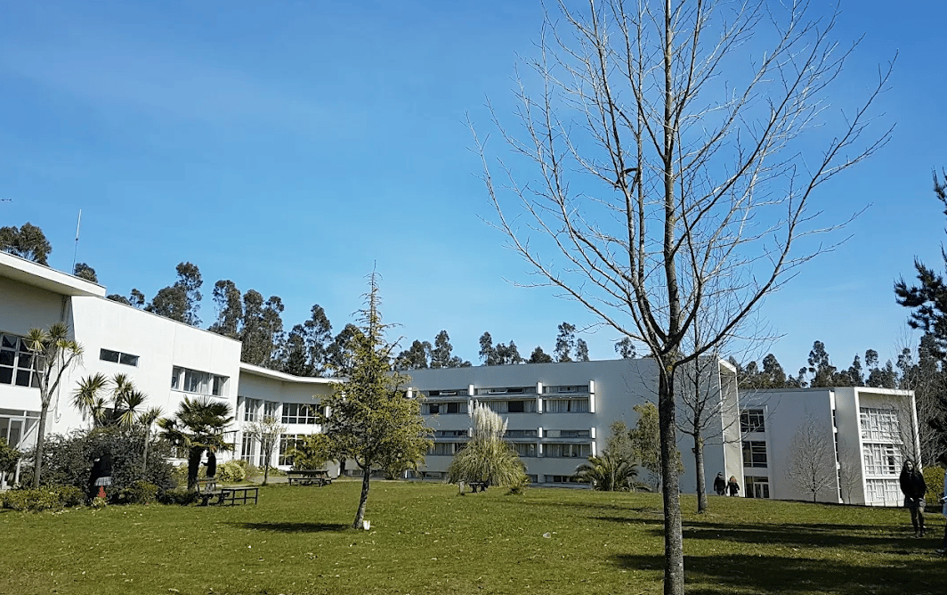 Saint John's School — international school in Concepcion, Chile