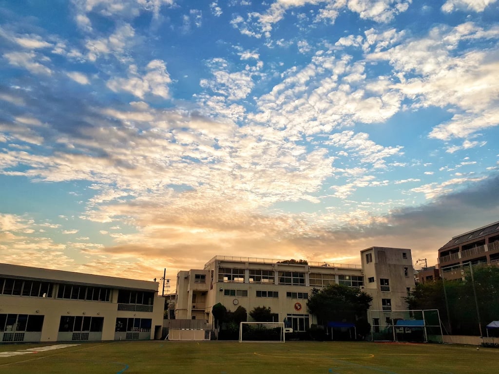 The school's main academic buildings overlooking the primary sports and play area.