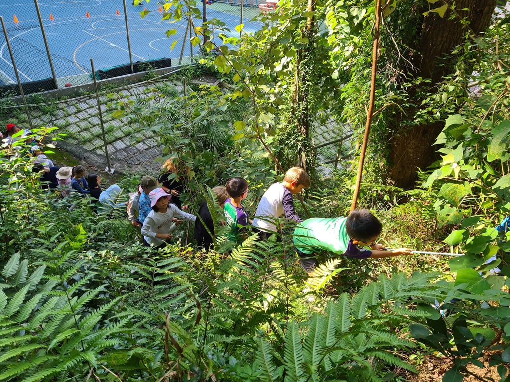 Year 3 students exploring the hillside during Jungle School activities.