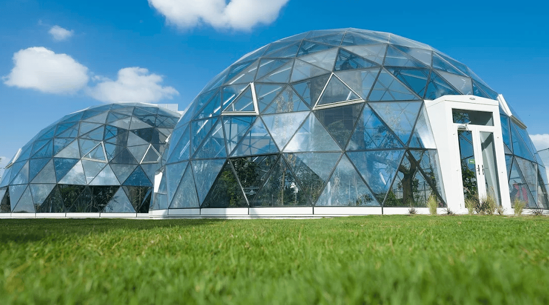 The Arbor School — international school in Dubai, United Arab Emirates