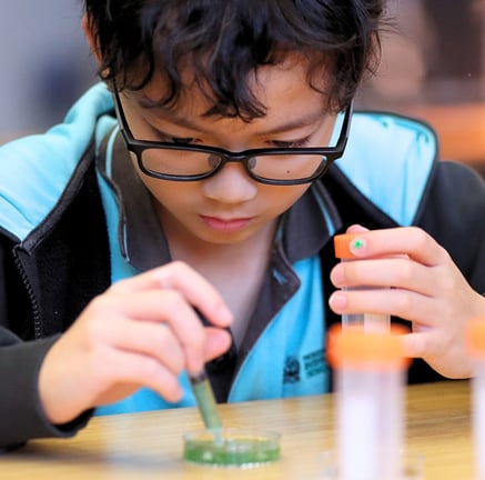 Student examining algae samples during a science experiment.