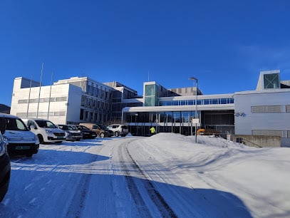 Asker International School — international school in Oslo, Norway