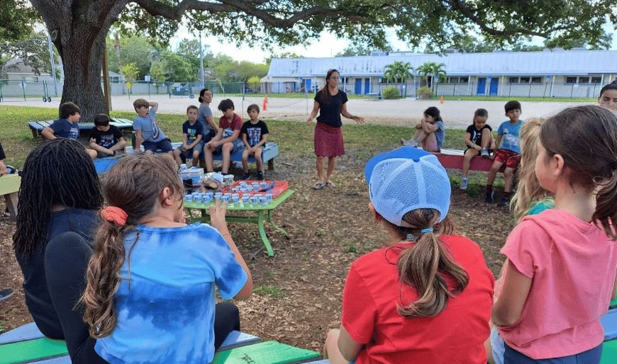 Tampa Bay International School — international school in Tampa, United States