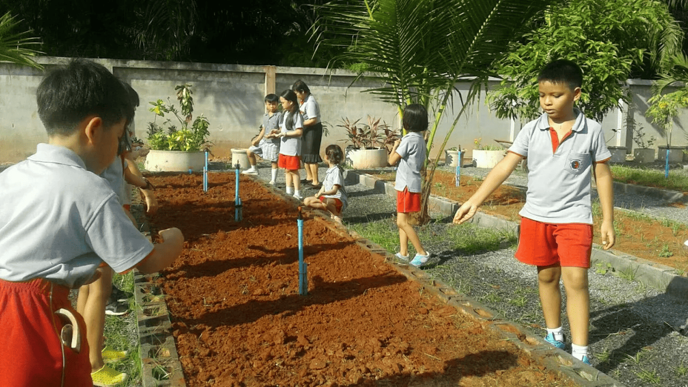 Primary students planting seeds.