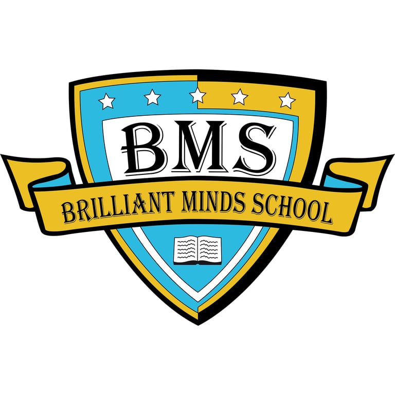 Brilliant Minds School logo