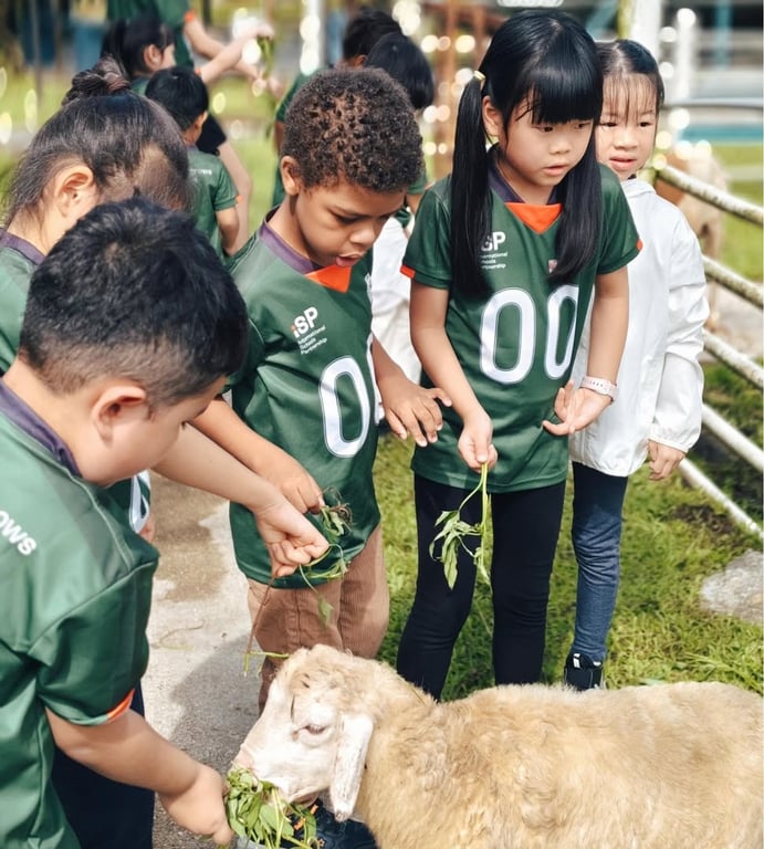 Students feeding a sheep during an outdoor activity.