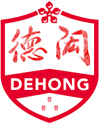 Dehong Chinese International School logo