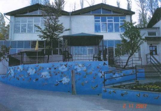 British Embassy School Ankara — international school in Ankara, Turkey