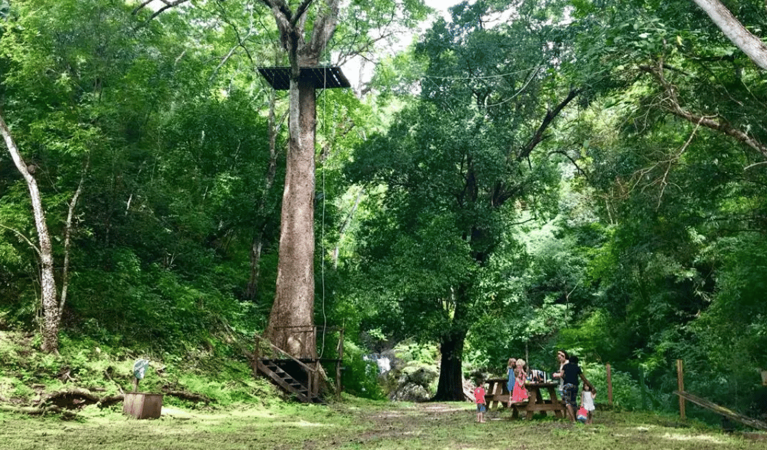 Manglares Discovery School — international school in Playa Venao, Panama