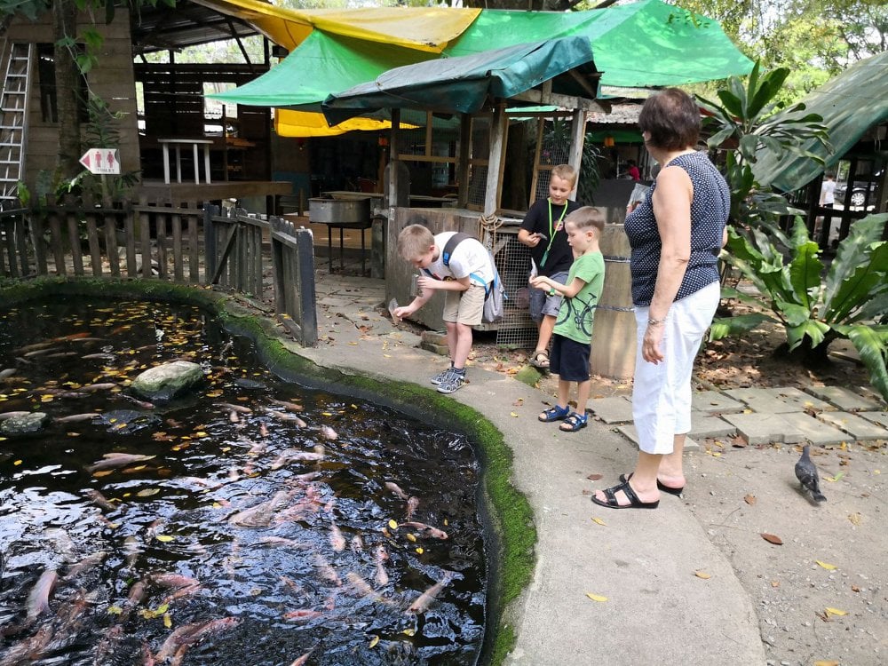 Students engaging with nature during Outdoor Learning