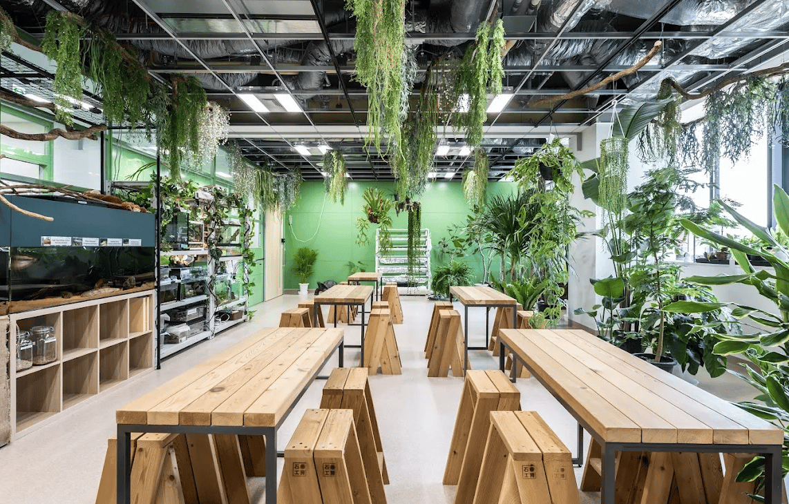 Laurus International School of Science - Shiba Campus — international school in Tokyo, Japan