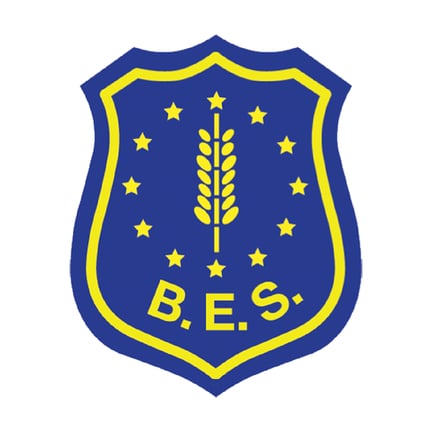 Bilingual European School - Municipio 9 2 logo