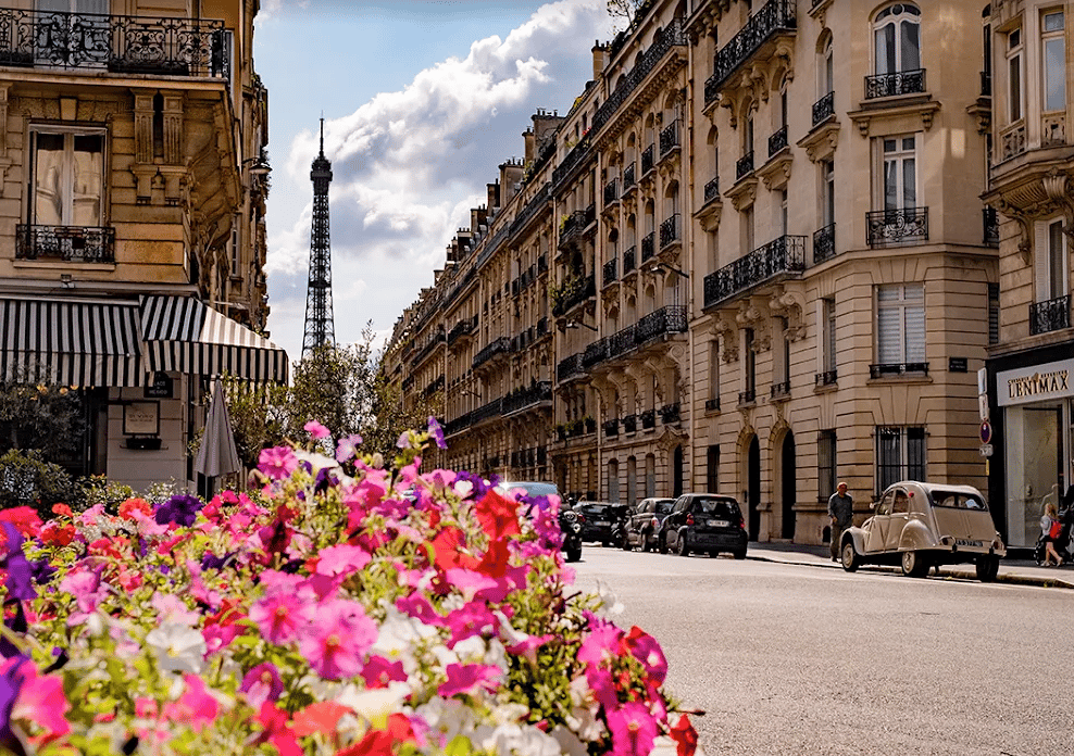 Kingsworth International School - Primary Section — international school in Paris, France