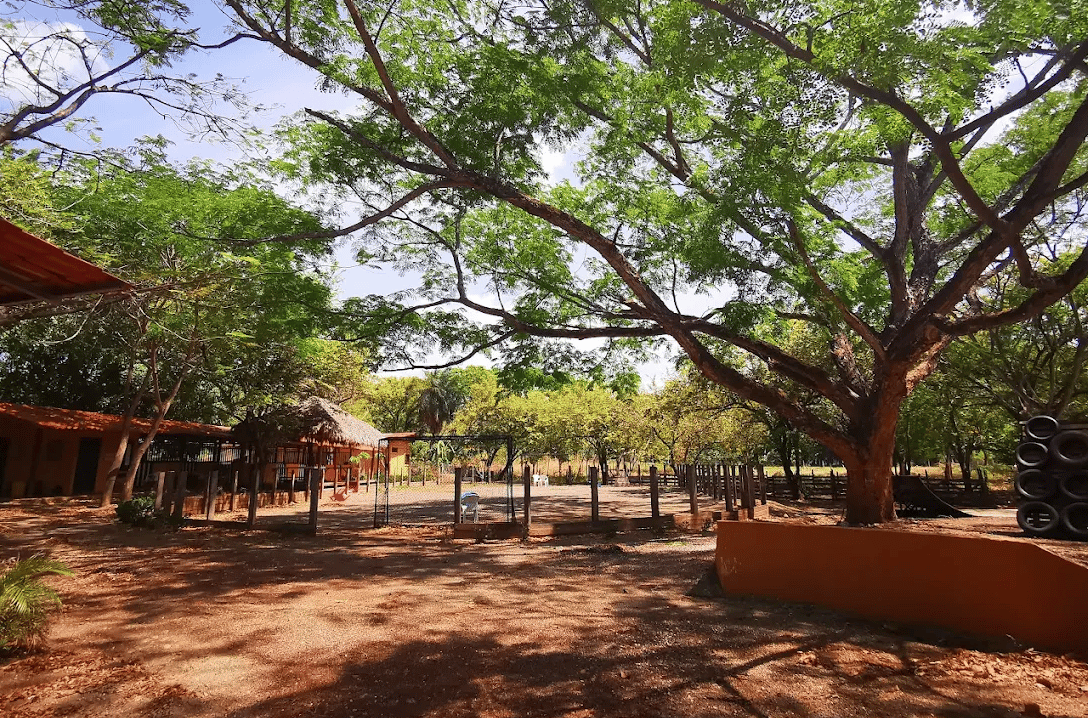 Journey School of Costa Rica — international school in Guanacaste, Costa Rica