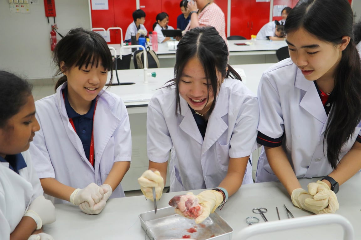 Students dissecting a heart during a practical lesson on the Circulatory system.