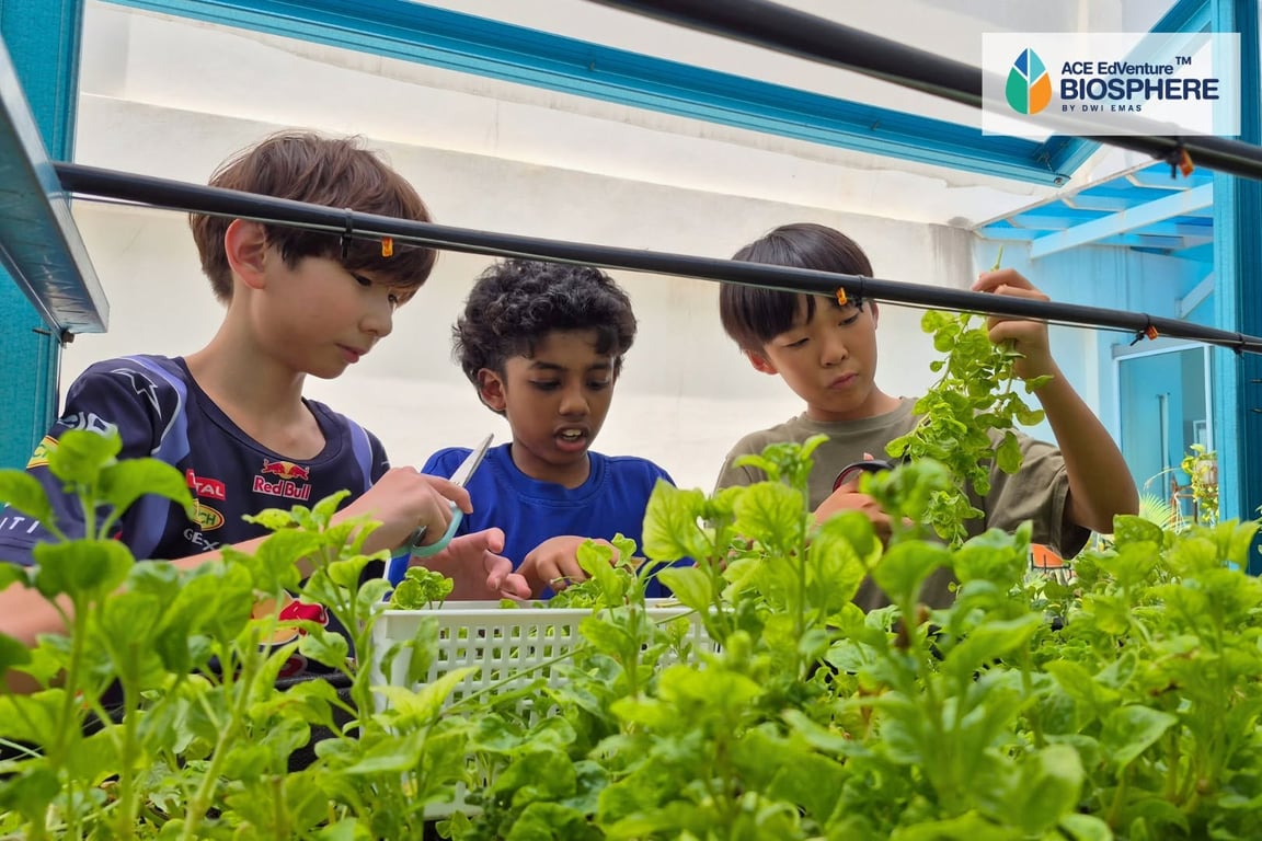 Dwi Emas International School — international school in Kuala Lumpur, Malaysia