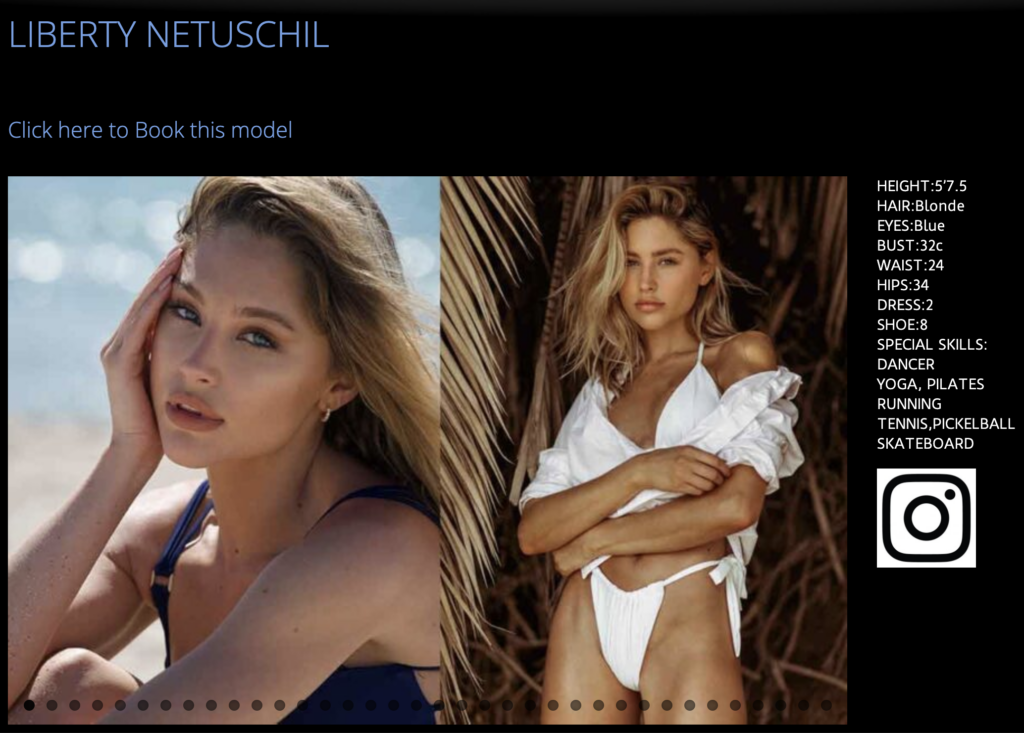 Example Fitness Model Portfolio - Liberty Netuschil