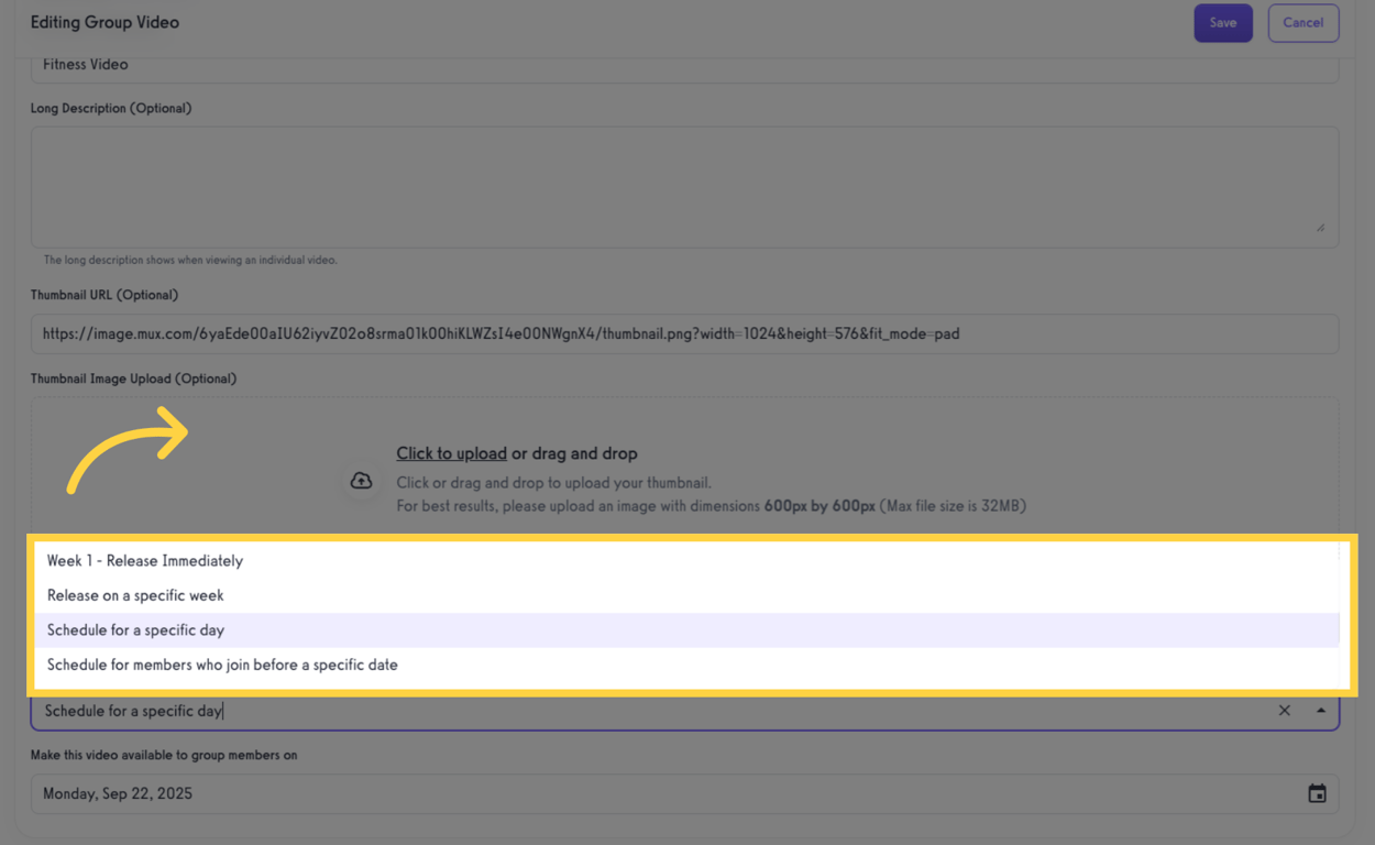 Select a schedule on when to release the video