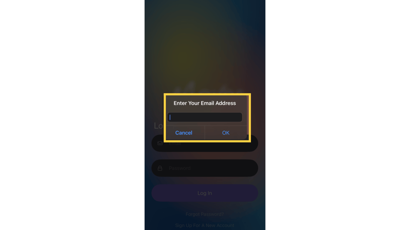 Enter the email address for your account.