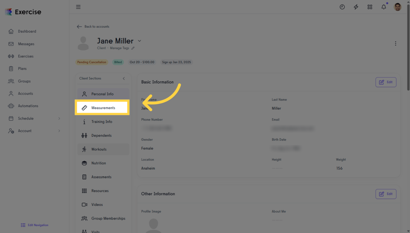 Measurements tab on the client profile