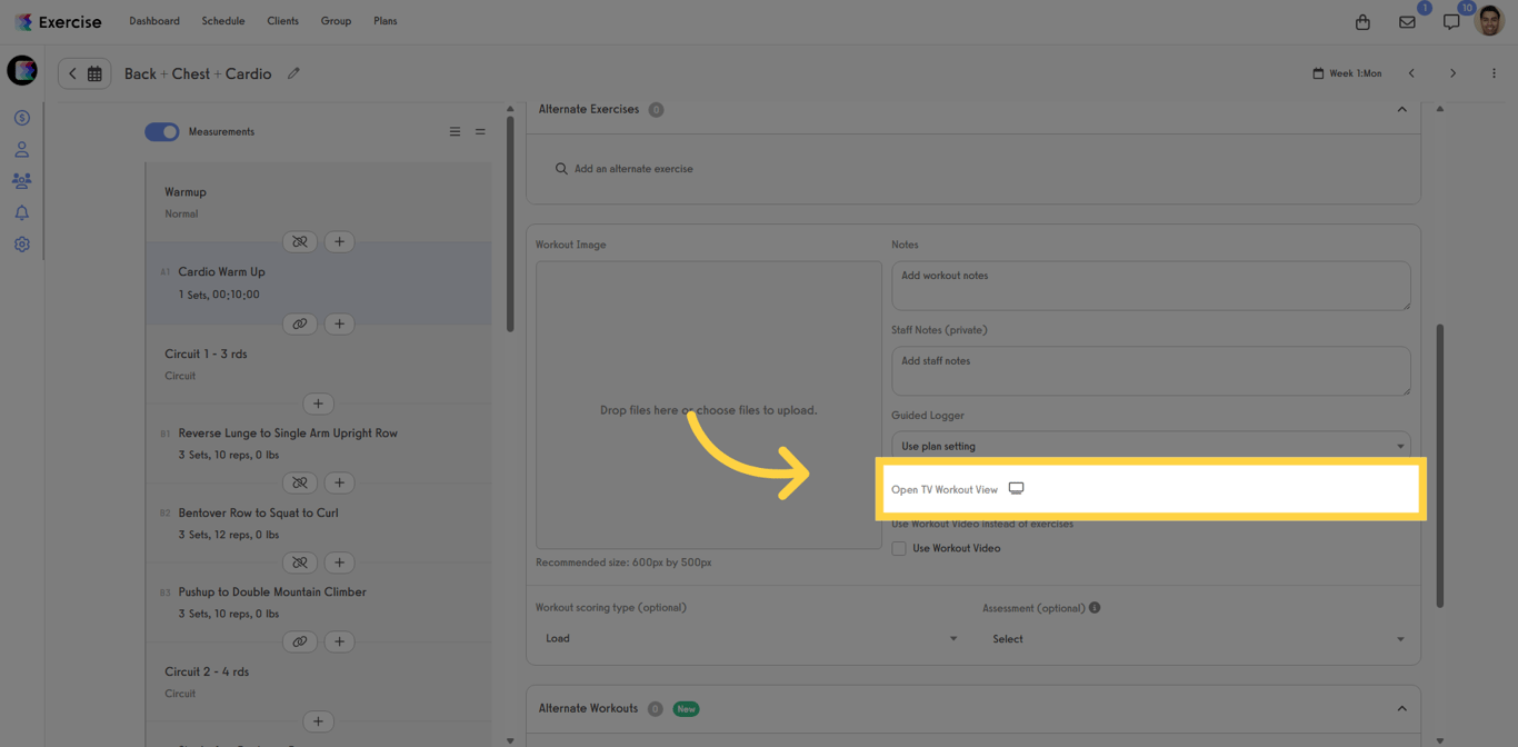 Screenshot of the Open TV Workout View button