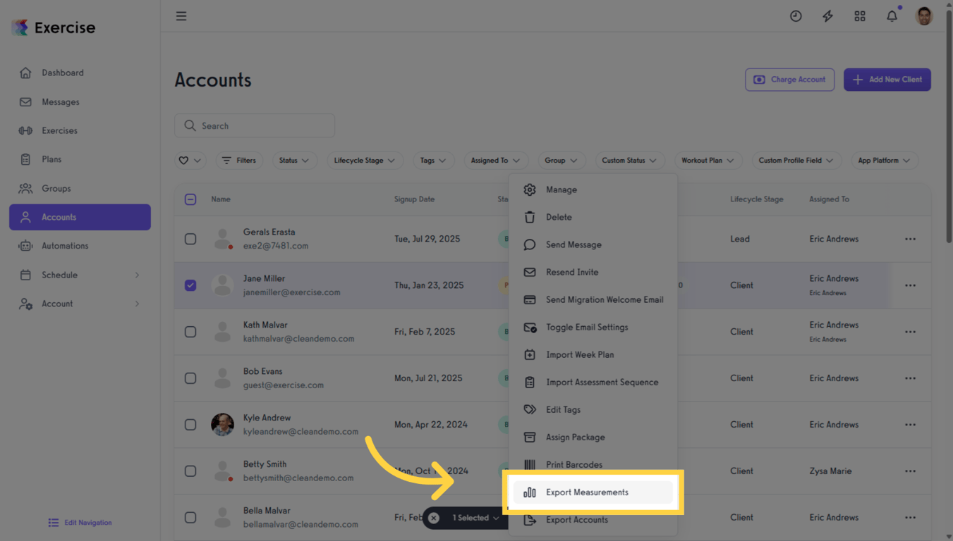 Click 'Export Measurements' to start the export process.
