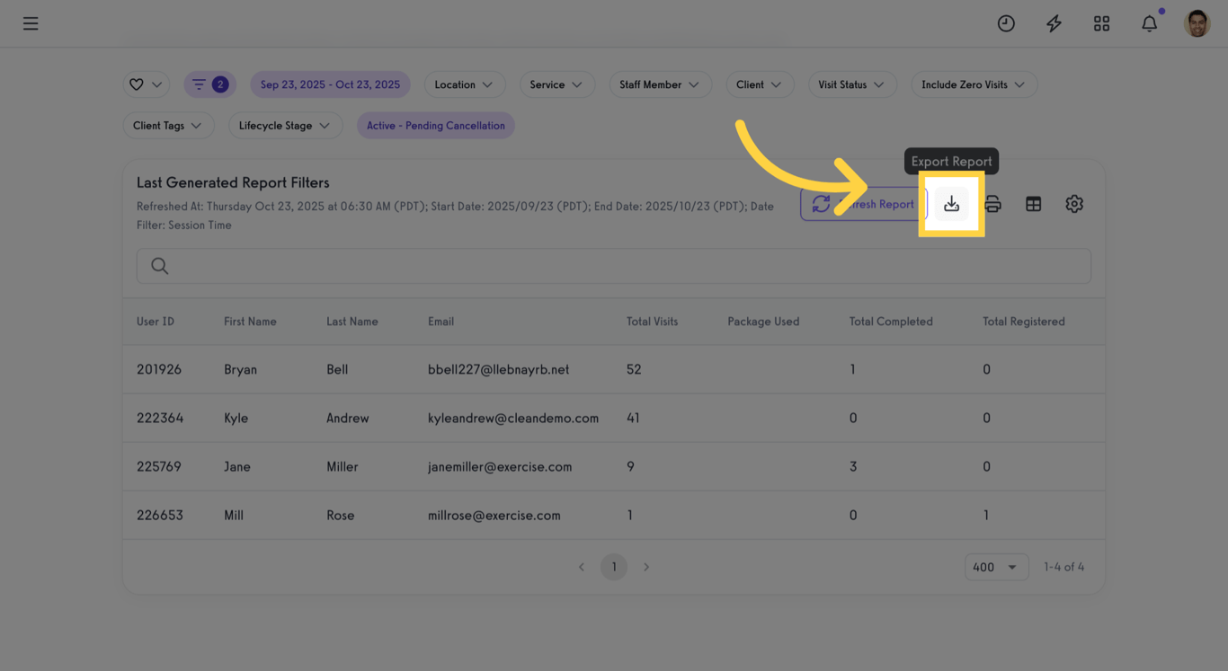 Export the filtered report to a file.