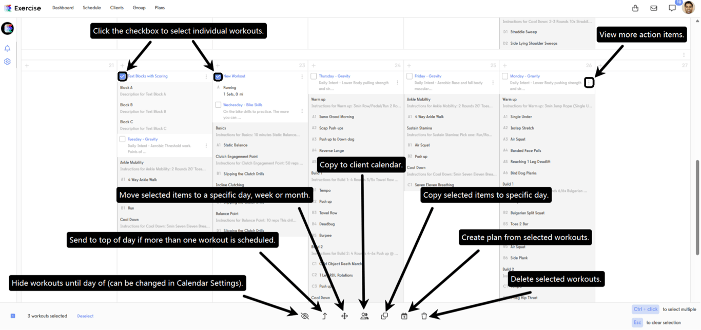 Bulk Workout Editing Options.