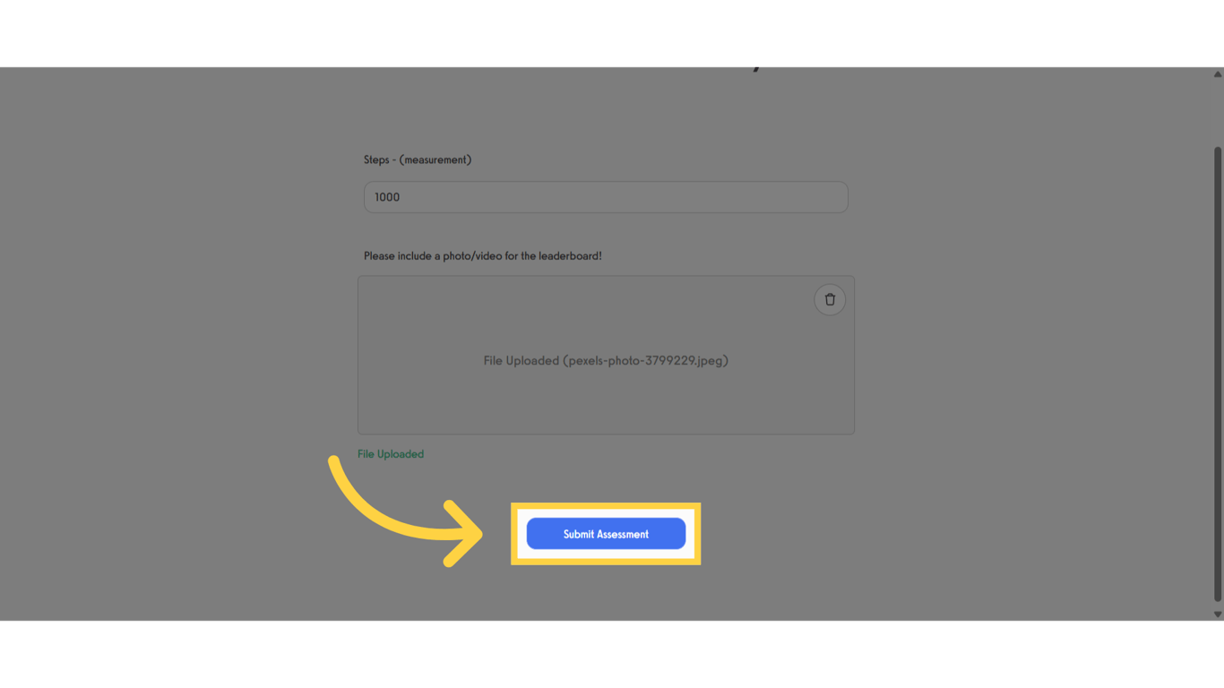 Click 'Submit Assessment'