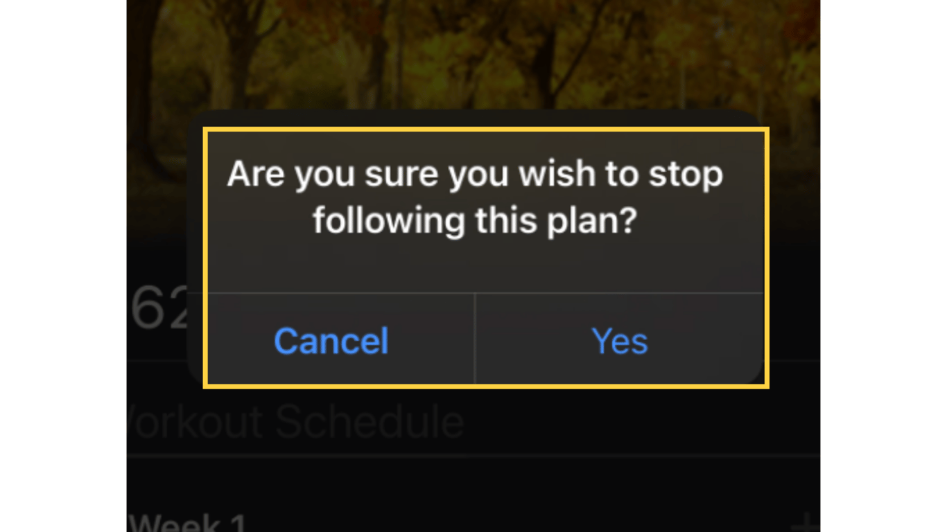 Confirm to stop following the plan.