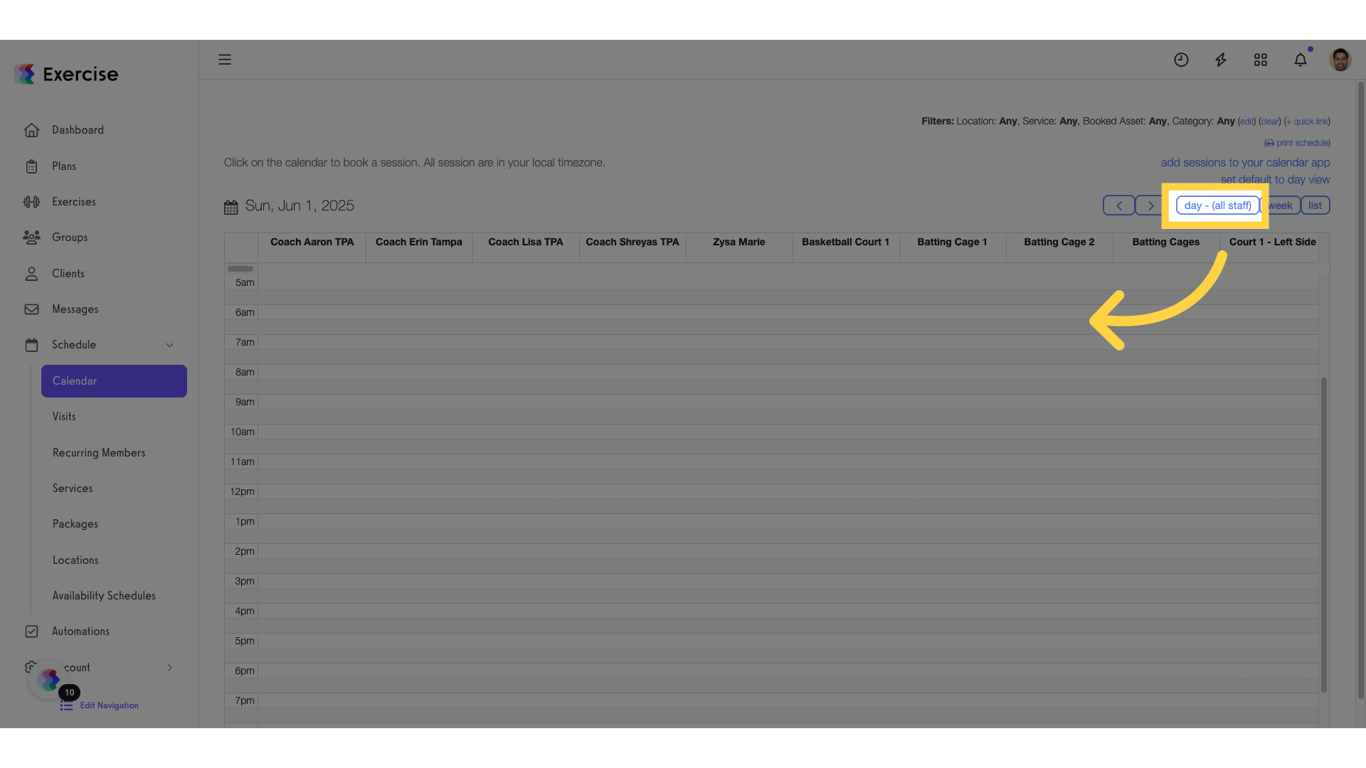 Option 2 Step 1: Click the day view.