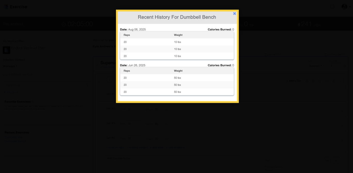 Screenshot showing exercise history results in the web workout logger.