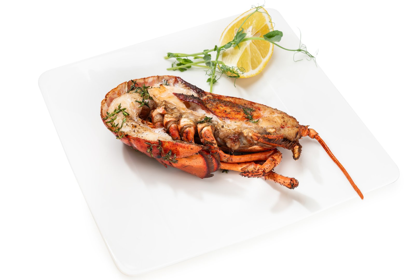 Фото Блюдо Лобстер «Lobster» н/ф ваг