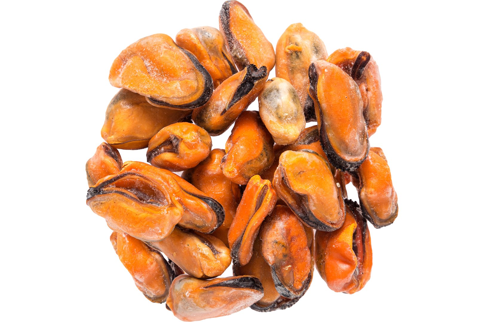 Photo Frozen mussels