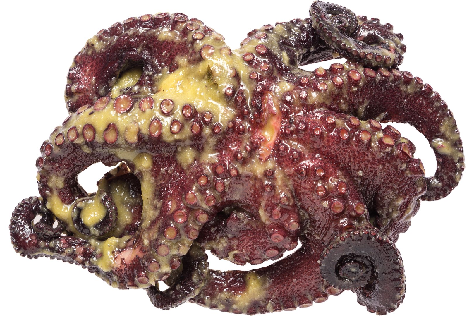 Photo Octopus" cooked in garlic sauce