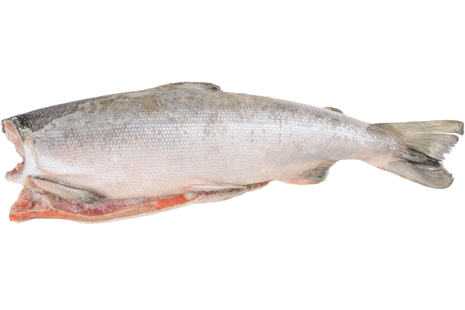 Фото Нерка «Sockeye salmon» с/м б/г 2-4 ib (0.9-1.8кг) ваг