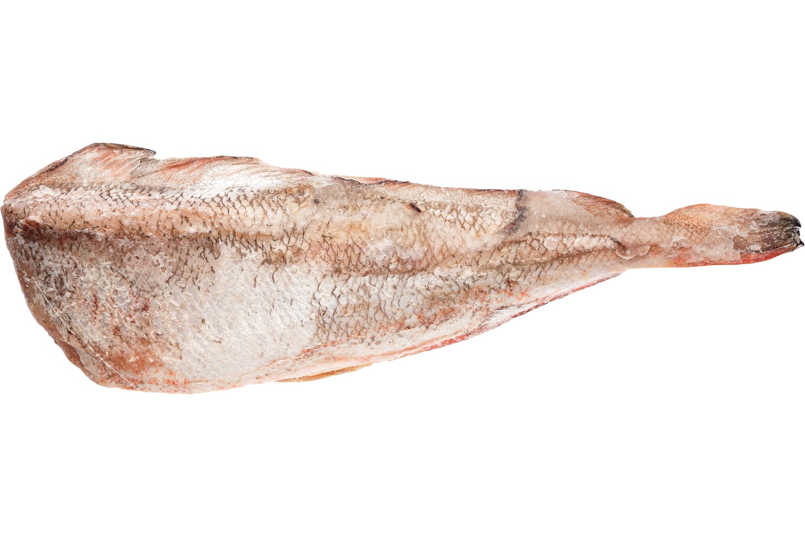 Photo Red cod, New Zealand