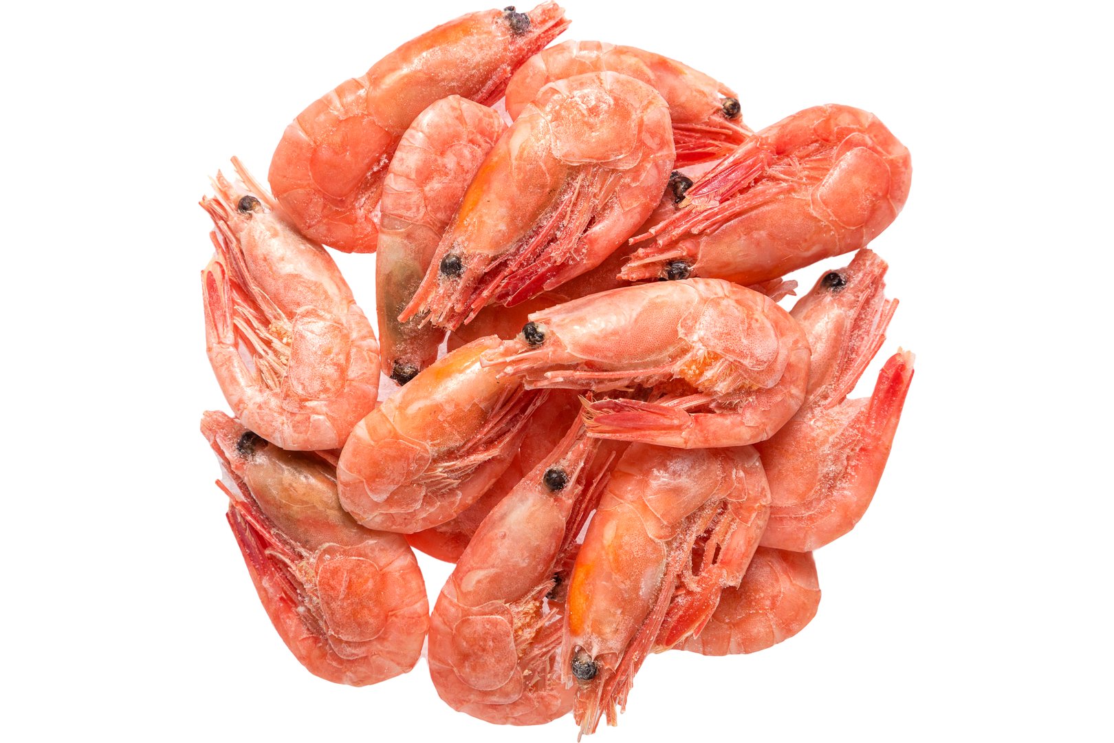 Photo Shrimps