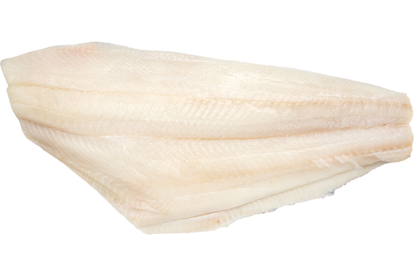 Photo Halibut fillet