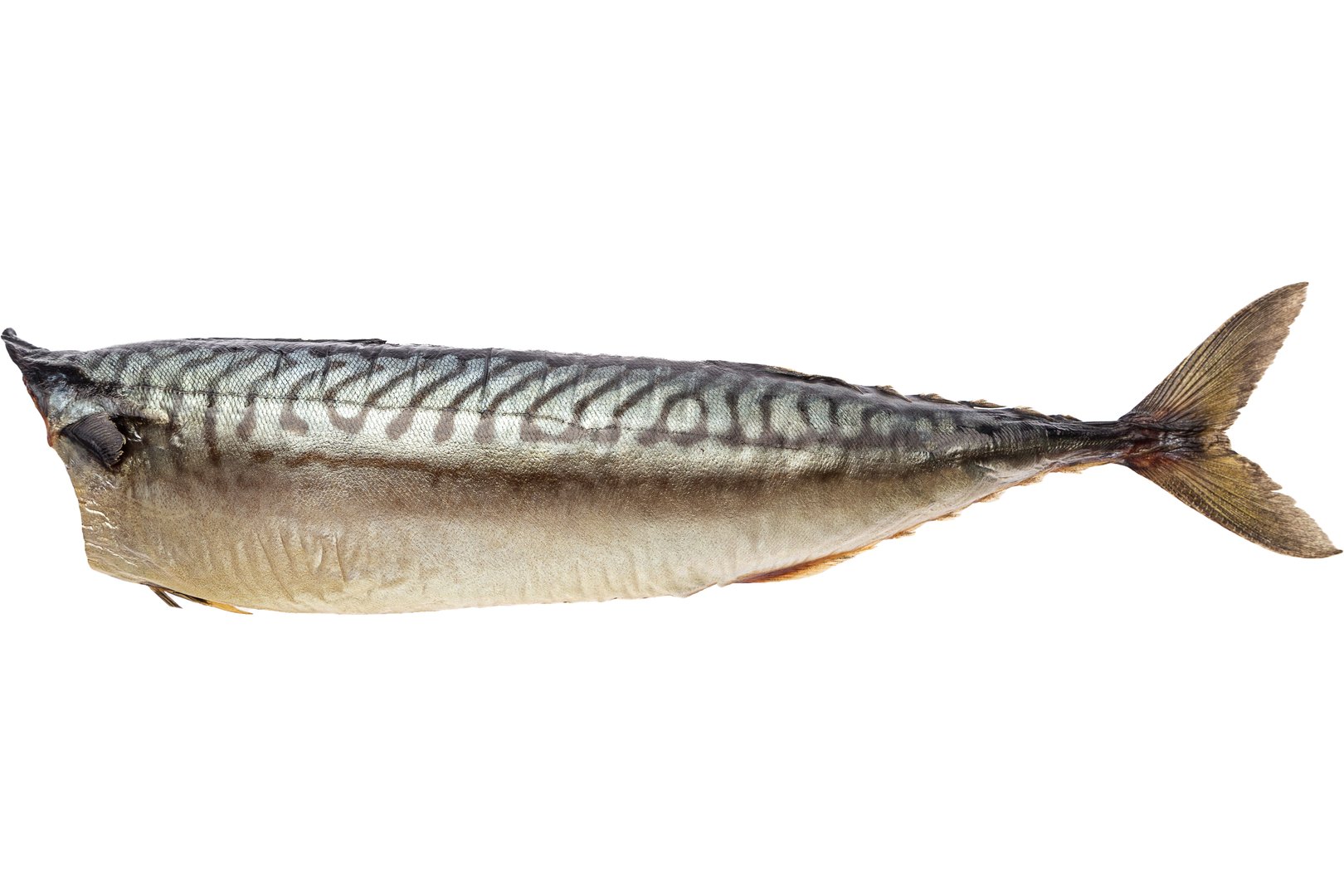 Photo Cold smoked mackerel