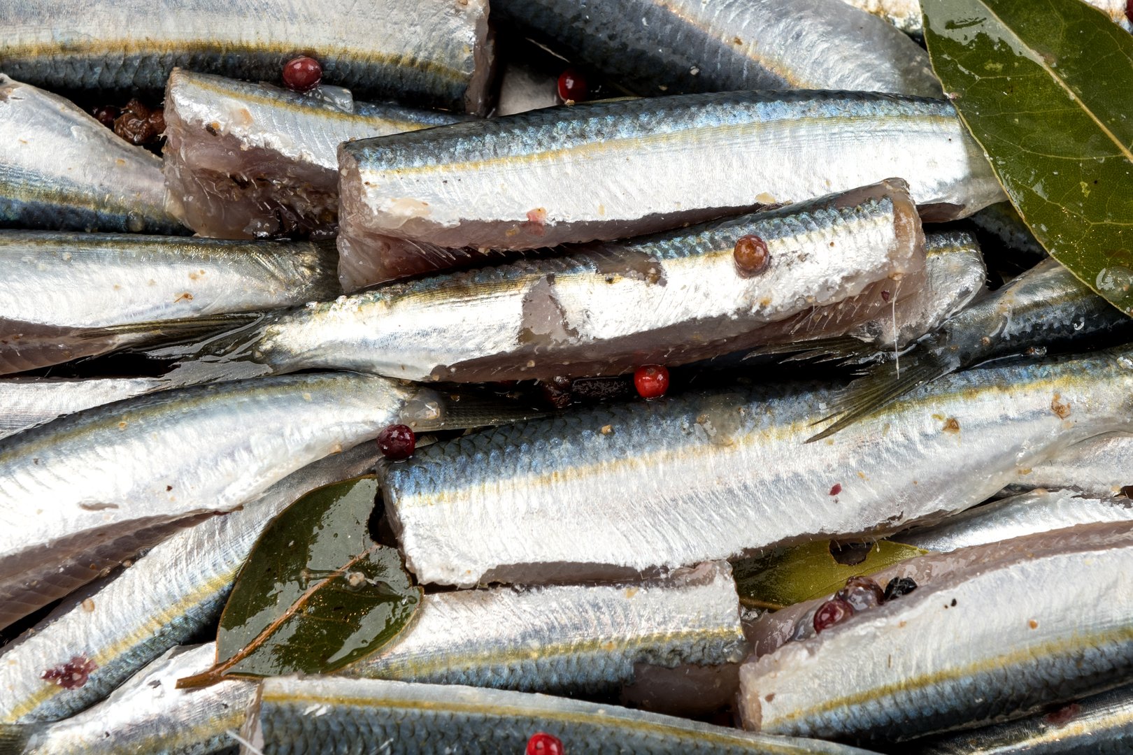 Photo Sardine carcass of spicy salting