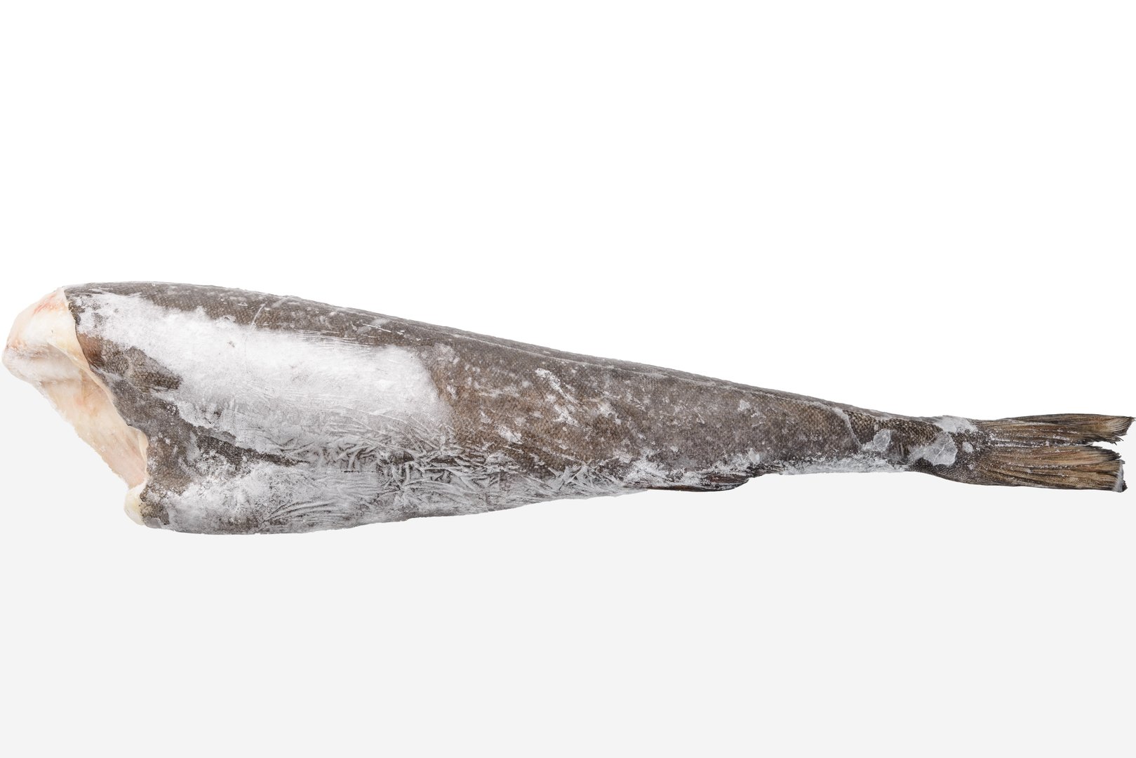 Фото Вугільна риба (Тріска чорна) «Sablefish» б/г с/м 4-6 ib (1.8-2.7кг) ваг