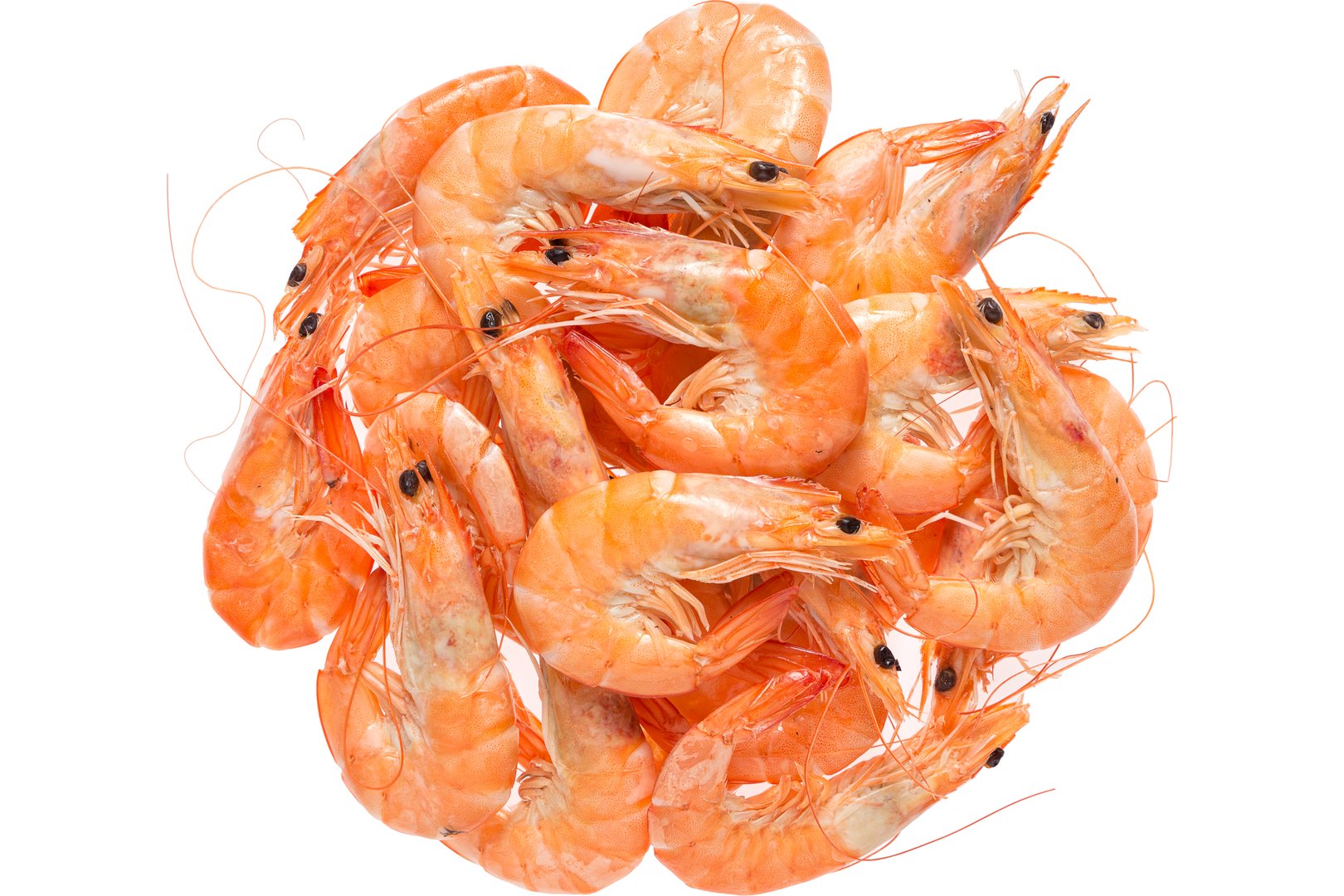 Photo Chilled shrimp